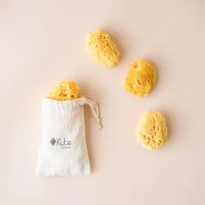 Face Sea Sponge - 4 Pack Bundle