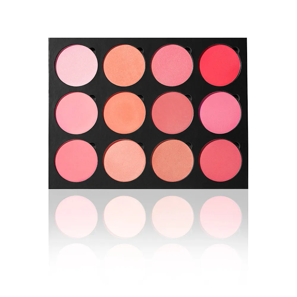 Pro 12 Blusher Palette